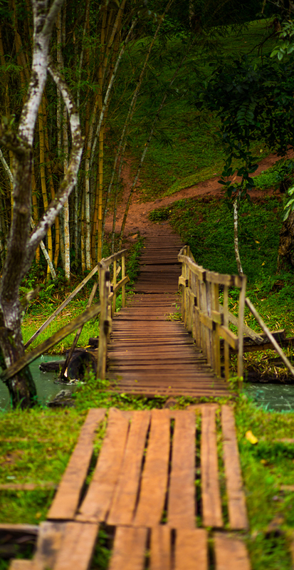 Walk of lore